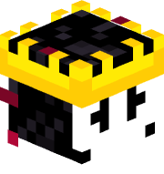 CownPlerce