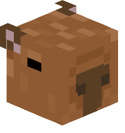 MakhachevPrime