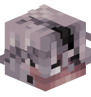 SoldierZoom