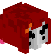 Xizzex