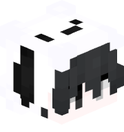 Splexio800