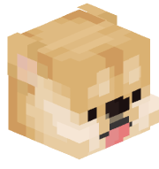 NotSusPlayer