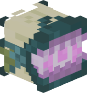 Ciocotisel