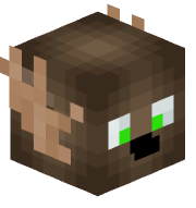 An image of the person's Minecraft head provided by mc-heads.net