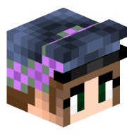 MegaFlyCraft