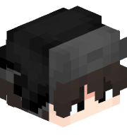 TurtleMeIon