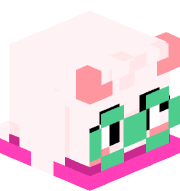 mnobgdmc