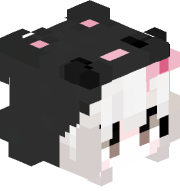 DuckysCam