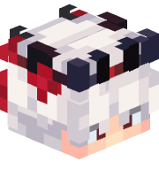 Jasonbouch