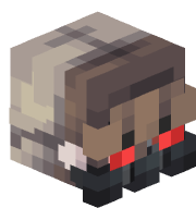 Shineleg