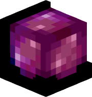 DoubleToaster41