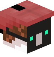 Donniessocks