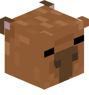 TinoVcH