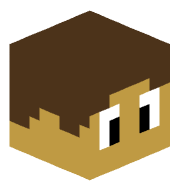 PlymLaptop11