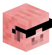 timon_le_cochon