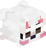 Fomerter12