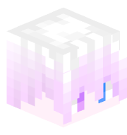 Bs_Soel