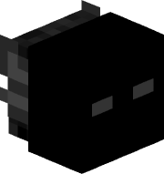 BSDW_