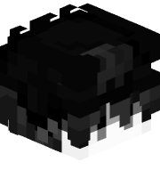 ZedHeins