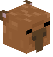 Elchanty7777