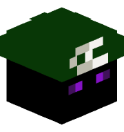 SFN_01