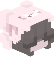 DrDonutr