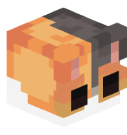 kyouboxz