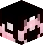 BUG_UN223