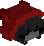 wwwbaconcz