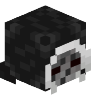 Zak_o_rayday