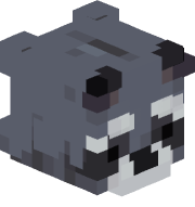 NIKTHERACCOON