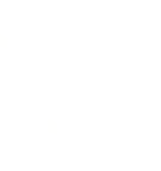 turtledshell