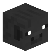 avalanch_