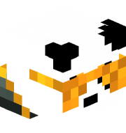 CloudxChase