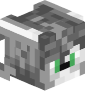 CheeseRabbit24