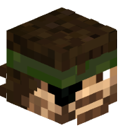 GappyNotFound