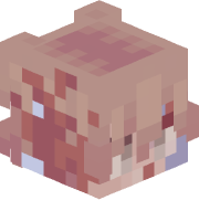 SrGrillo