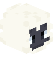 Leonytp4