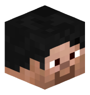 HamerJ20