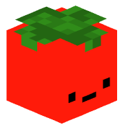 DDmax500