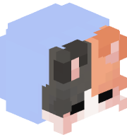 catjam3210