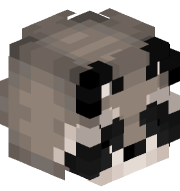 jxprr