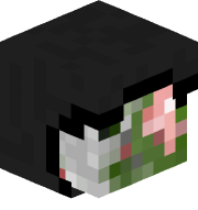 saninura_yt