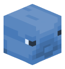 Dolphin 3D head