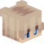 Tête de AMONGSLAP