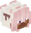 Tête de Aaseoz_