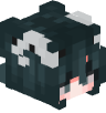 Tete Minecraft de Akroum