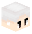 Aleexks head