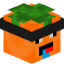 Tête de AlexandreFr