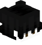 Aspikku's head
